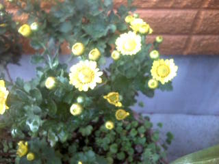 20091023153109.jpg