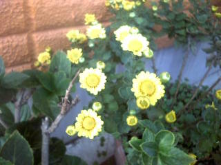20091023153330.jpg