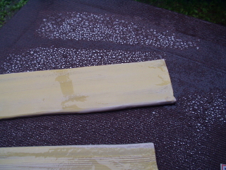 P4250010.JPG